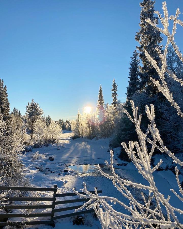 Hyggelig Leilighet I Sentrum Hemsedal Exterior foto